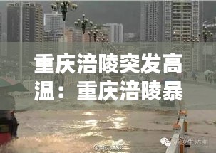 重庆涪陵突发高温：重庆涪陵暴雨中央新闻 