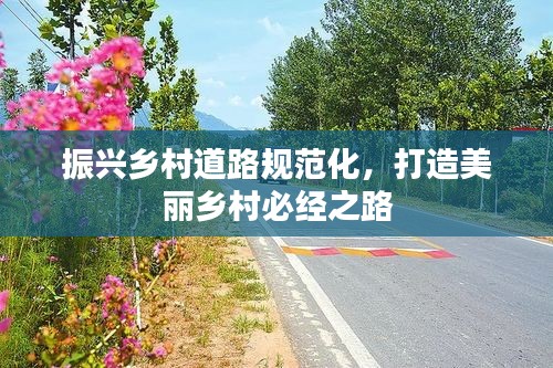 振兴乡村道路规范化，打造美丽乡村必经之路