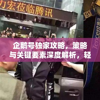 企鹅号独家攻略，策略与关键要素深度解析，轻松获取独家特权！