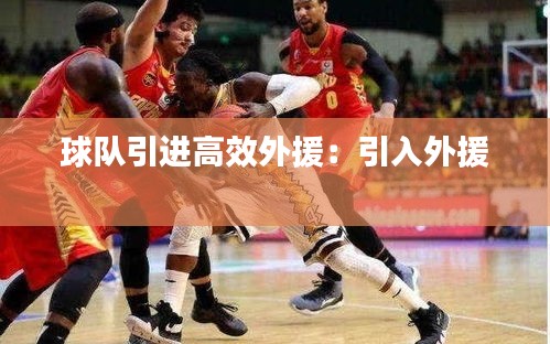 球队引进高效外援：引入外援 