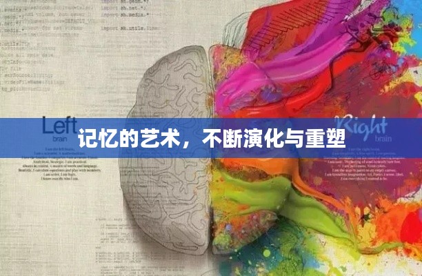 记忆的艺术，不断演化与重塑