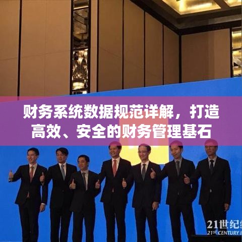 财务系统数据规范详解，打造高效、安全的财务管理基石