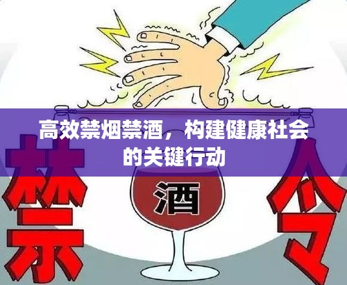 高效禁烟禁酒，构建健康社会的关键行动