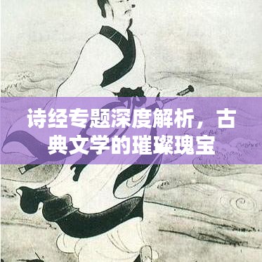 诗经专题深度解析，古典文学的璀璨瑰宝