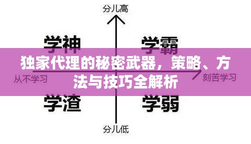 独家代理的秘密武器，策略、方法与技巧全解析