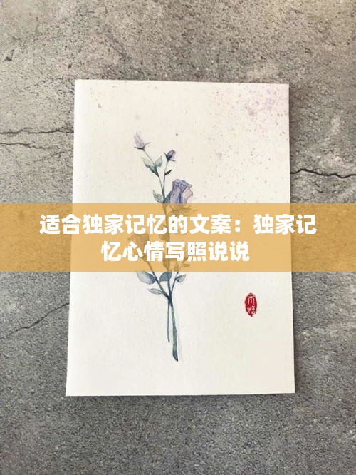 适合独家记忆的文案：独家记忆心情写照说说 