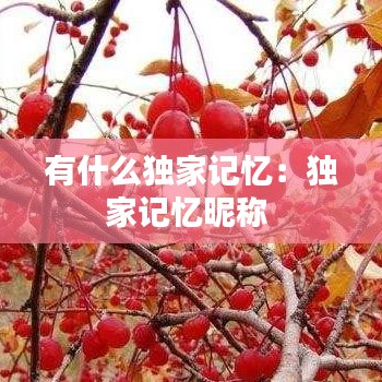 有什么独家记忆：独家记忆昵称 