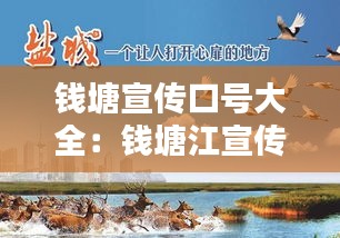 钱塘宣传口号大全：钱塘江宣传片 