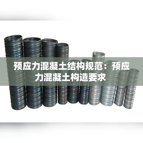 预应力混凝土结构规范：预应力混凝土构造要求 