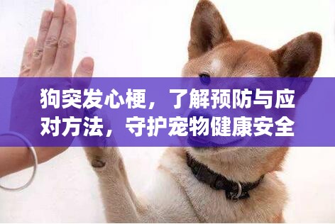 不期而遇 第2页