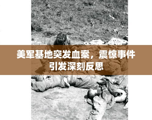 美军基地突发血案，震惊事件引发深刻反思