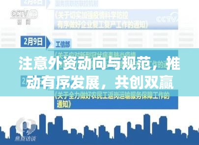 注意外资动向与规范，推动有序发展，共创双赢新局面