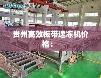 贵州高效板带速冻机价格： 