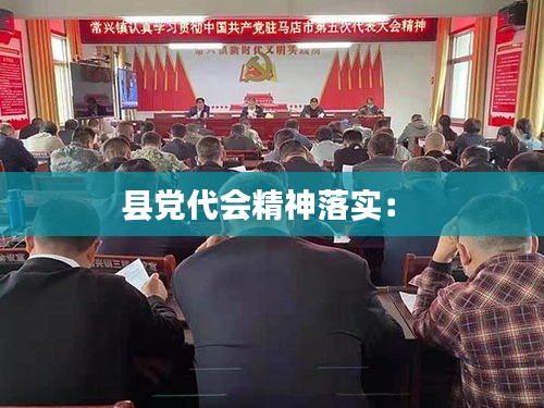 县党代会精神落实： 