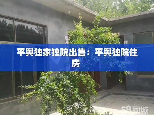平舆独家独院出售：平舆独院住房 