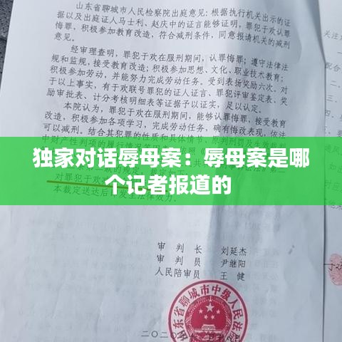 独家对话辱母案：辱母案是哪个记者报道的 