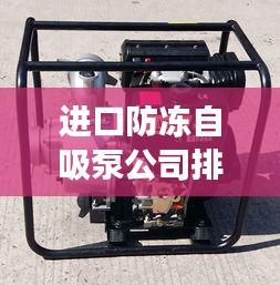 进口防冻自吸泵公司排名及市场影响力深度解析