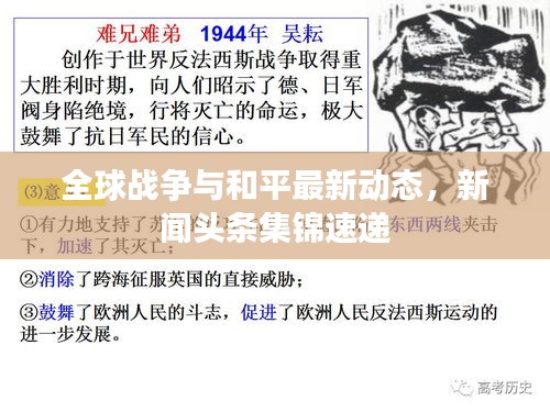全球战争与和平最新动态，新闻头条集锦速递