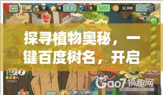 探寻植物奥秘，一键百度树名，开启奇妙世界之旅