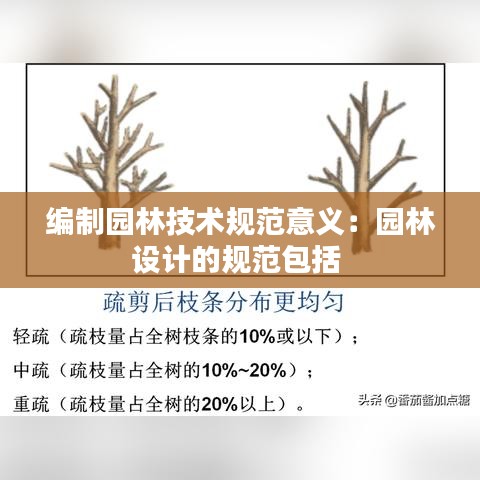 编制园林技术规范意义：园林设计的规范包括 