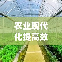 农业现代化提高效益：加快农业现代化的几点思考 