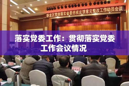 落实党委工作：贯彻落实党委工作会议情况 