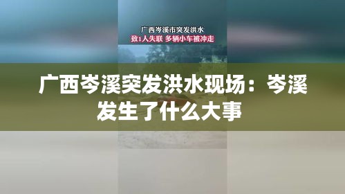 广西岑溪突发洪水现场：岑溪发生了什么大事 