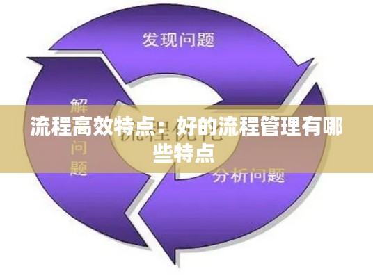 流程高效特点：好的流程管理有哪些特点 