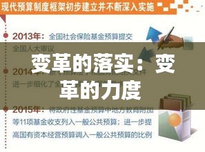 变革的落实：变革的力度 