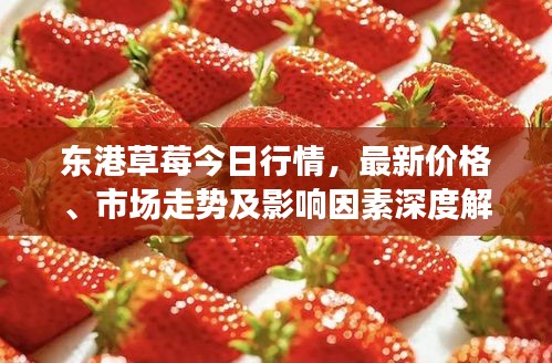 东港草莓今日行情，最新价格、市场走势及影响因素深度解析