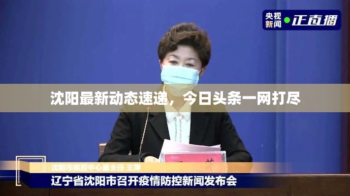 沈阳最新动态速递，今日头条一网打尽