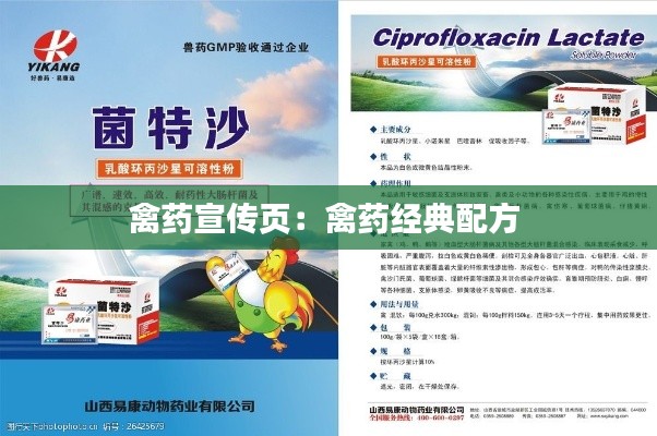 虫言鸟迹 第2页