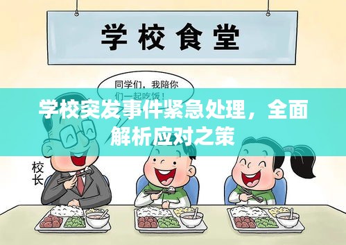 学校突发事件紧急处理，全面解析应对之策