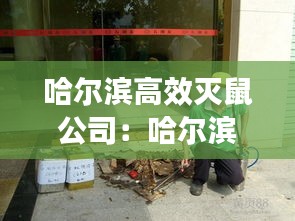 哈尔滨高效灭鼠公司：哈尔滨灭虫公司 