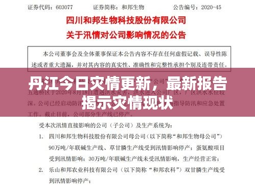 丹江今日灾情更新，最新报告揭示灾情现状