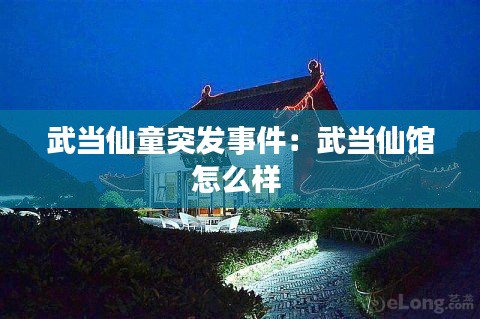 武当仙童突发事件：武当仙馆怎么样 