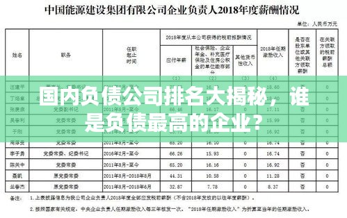国内负债公司排名大揭秘，谁是负债最高的企业？
