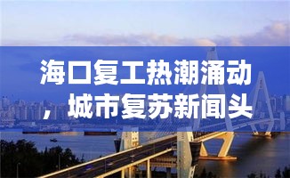海口复工热潮涌动，城市复苏新闻头条