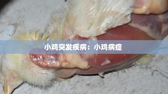 省吃细用 第2页
