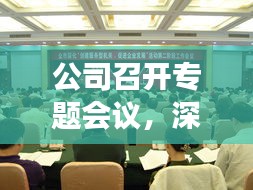 公司召开专题会议，深化交流促发展，推动业务创新升级