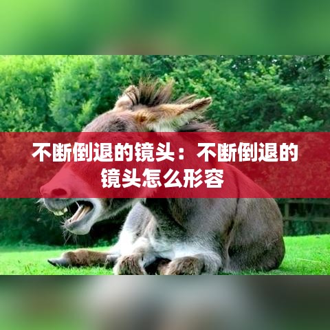 丢三落四 第2页