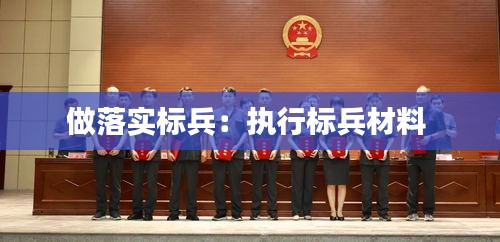 做落实标兵：执行标兵材料 