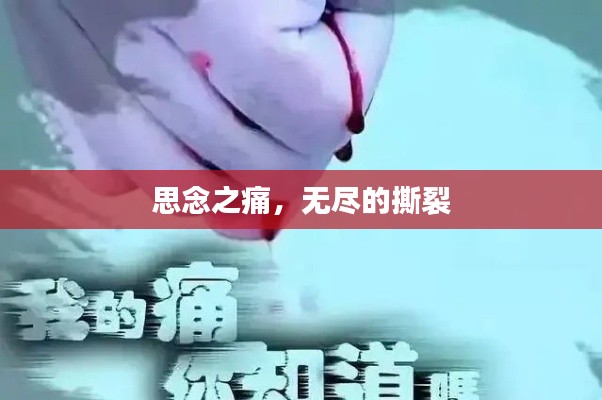 笨鸟先飞 第2页