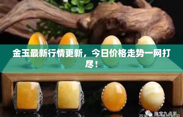 金玉最新行情更新，今日价格走势一网打尽！