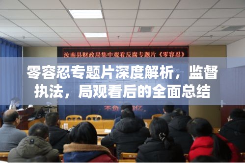 零容忍专题片深度解析，监督执法，局观看后的全面总结