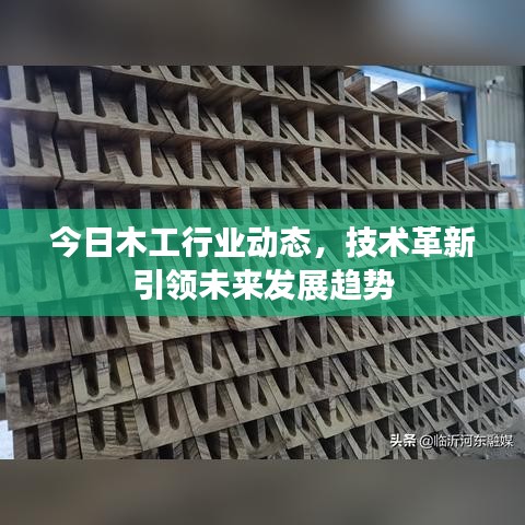 今日木工行业动态，技术革新引领未来发展趋势