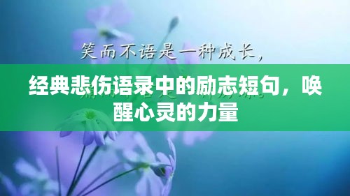 披肝沥胆 第2页