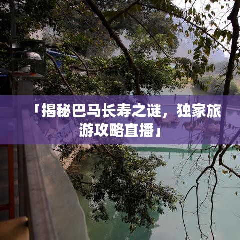 「揭秘巴马长寿之谜，独家旅游攻略直播」