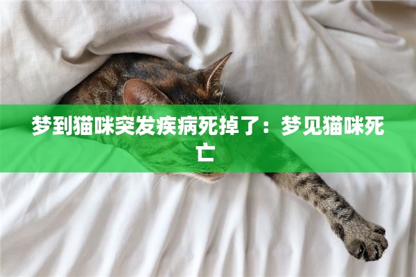 梦到猫咪突发疾病死掉了：梦见猫咪死亡 
