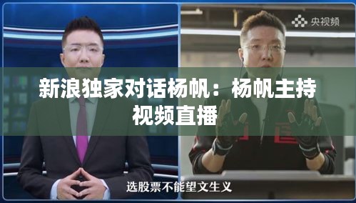 新浪独家对话杨帆：杨帆主持视频直播 